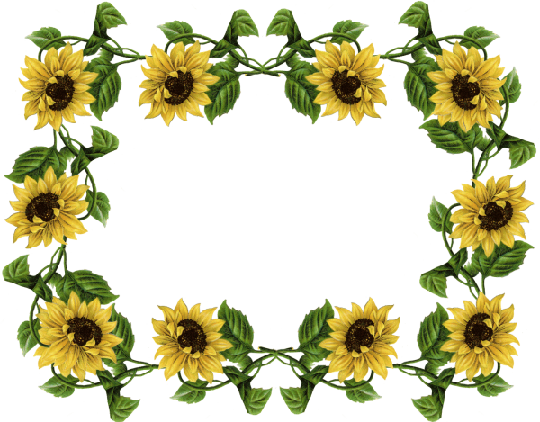 Фоторамка из подсолнухов