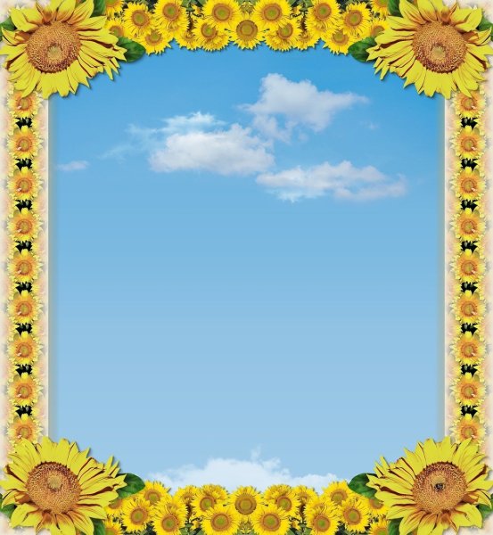 Рамки Подсолнухи для детского сада