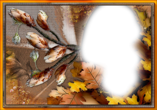 Осенние коллажи для фотошопа