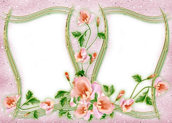 Цветочная рамка двойная