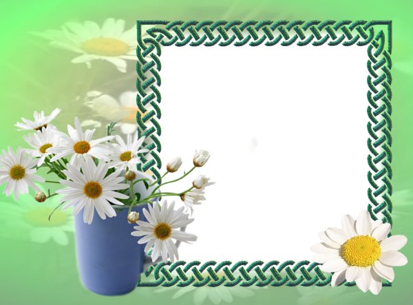 Рамка ромашки