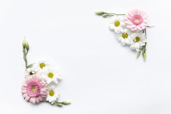 Рамка из цветов Минимализм