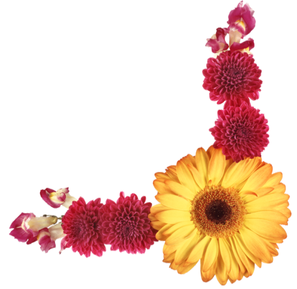 Рамка хризантемы