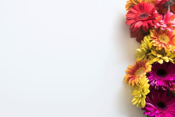 Подложка с цветами