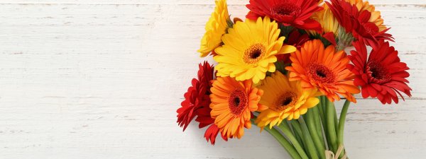 Открытка сентябрь цветы