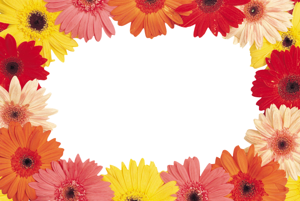 Рамочка с герберами