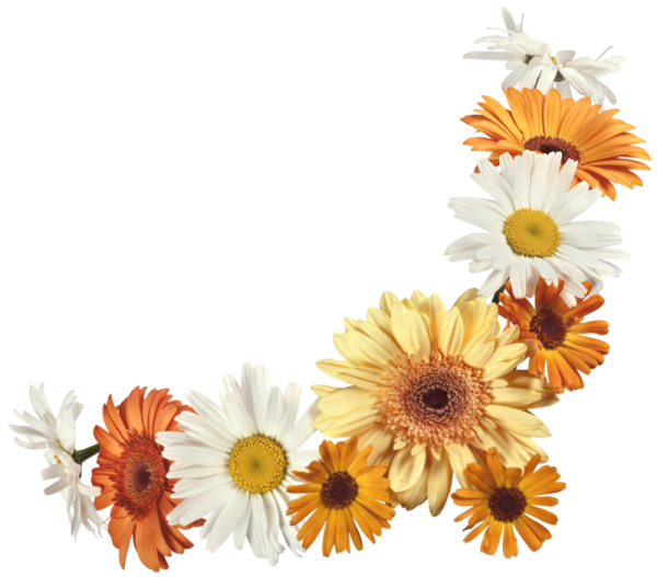 Фоторамка герберы