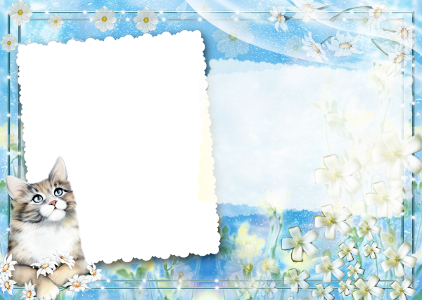 Рамка с котятами