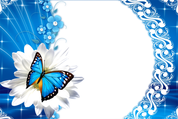 Рамки для фотографий с бабочками