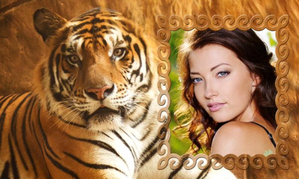 Рамка с тигренком