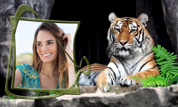 Рамка с тигром