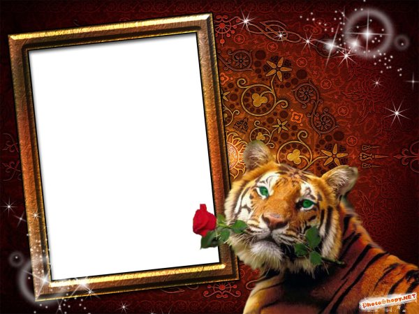 Красивые рамки с тиграми