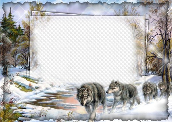 Фоторамка с волком