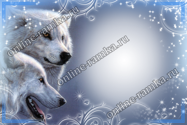 Рамка с волком