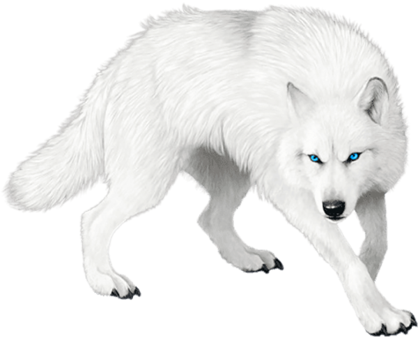 Белый волк на прозрачном фоне