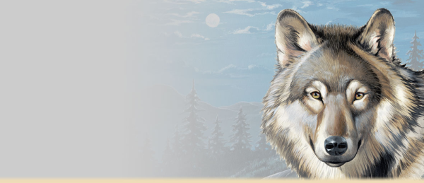 Волчица из сказки