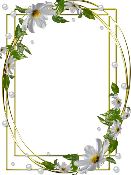 Красивые прозрачные рамки