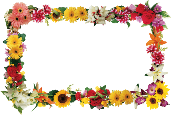 Цветочная рамка на прозрачном фоне