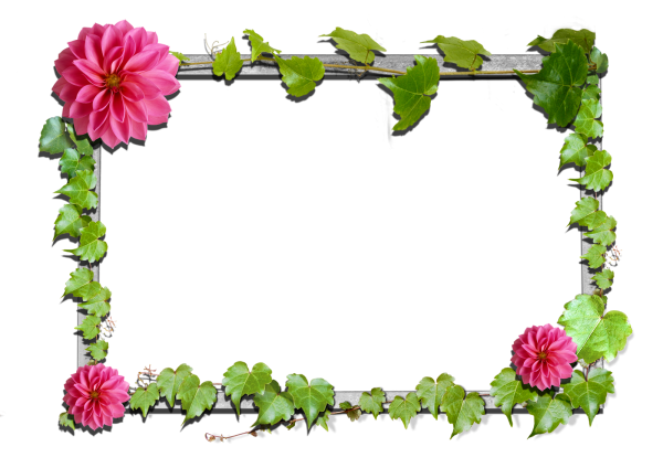 Рамка с цветочками