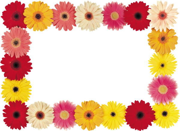 Рамка из разноцветных цветов