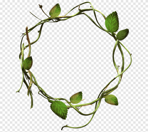 Рамка ветки