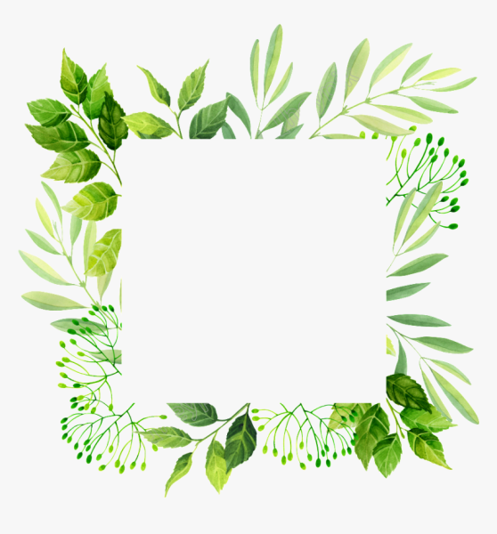 Рамка зелень