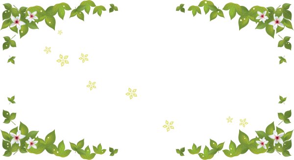 Рамка весенние цветы на прозрачном фоне