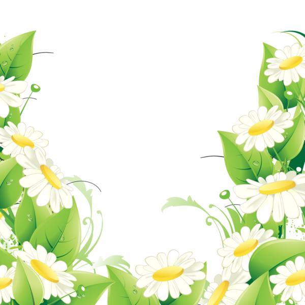 Рамка из ромашек для текста