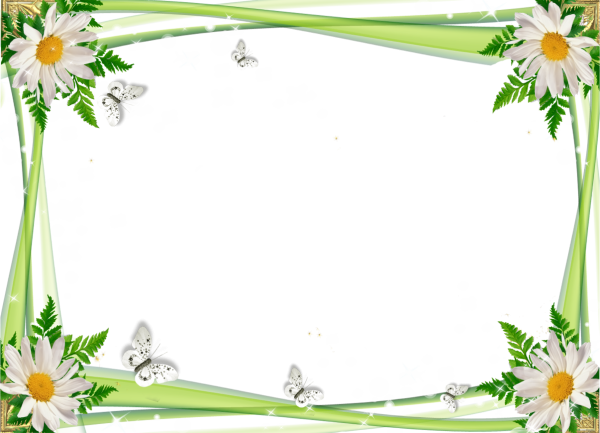 Красивая летняя рамка