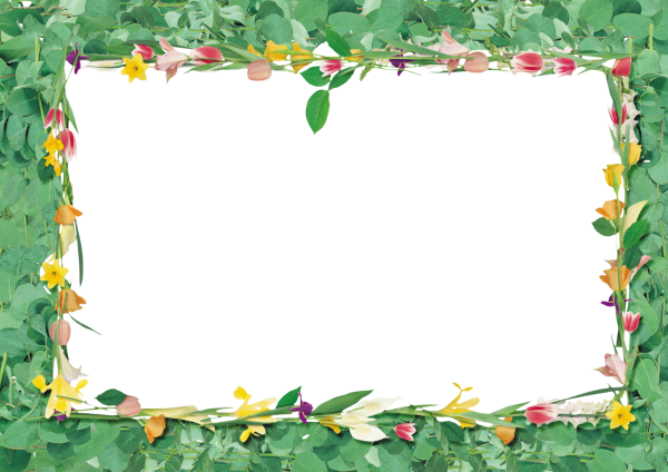 Рамка для картинки