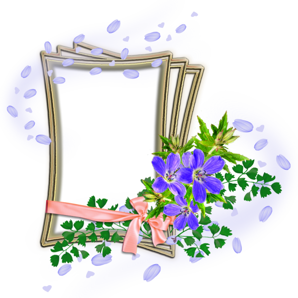 Рамка на прозрачном фоне