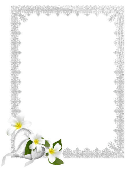 Свадебные рамочки на прозрачном фоне