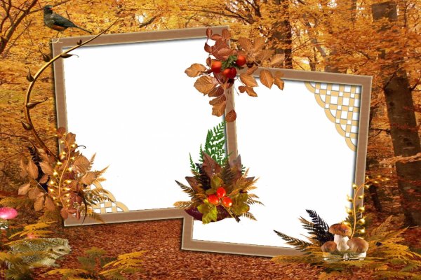 Рамки для фотошопа осень