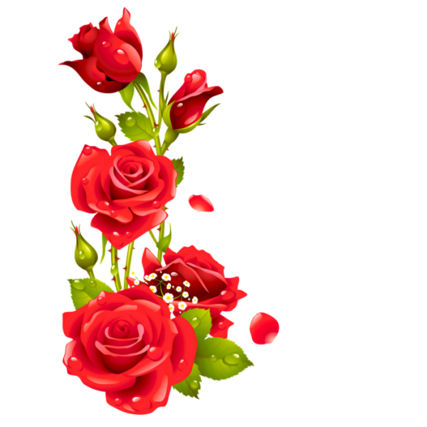 Цветы красные угловые