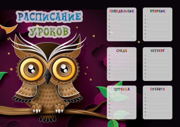 Портфолио с совой