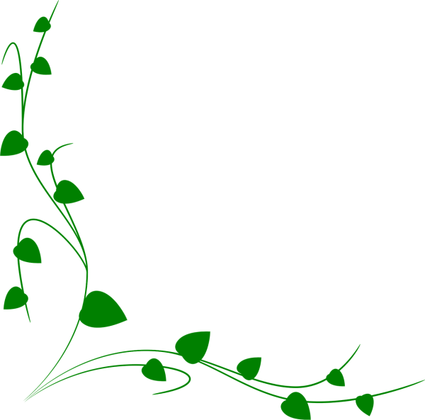 Зеленые узоры на белом фоне