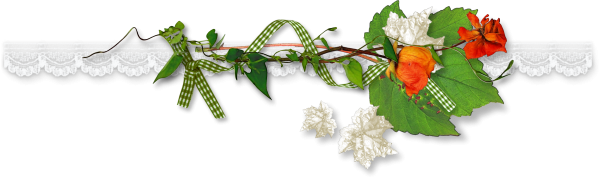 Разделители на прозрачном фоне