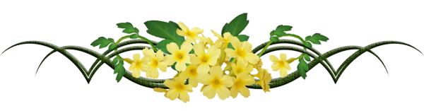 Весенние разделители на прозрачном фоне