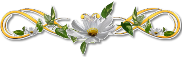 Разделитель из цветов