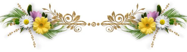 Узкая полоска из цветов