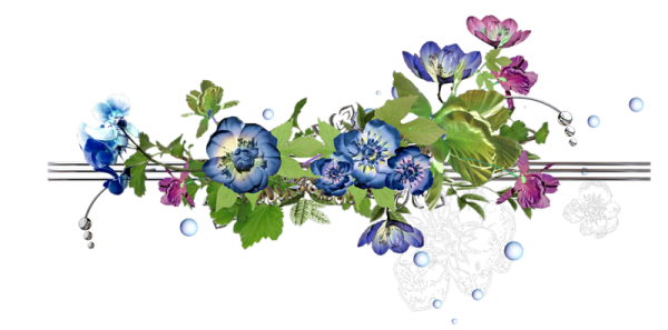 Цветочные разделители на прозрачном фоне