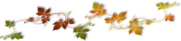 Коричневые осенние разделители