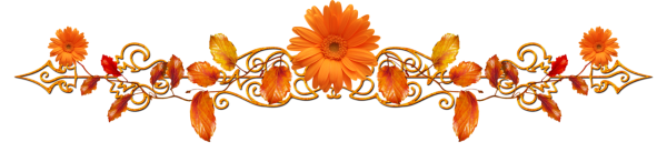 Цветочный разделитель текста