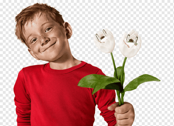 Мальчик с цветами