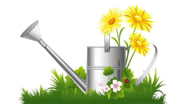 Лейка на прозрачном фоне