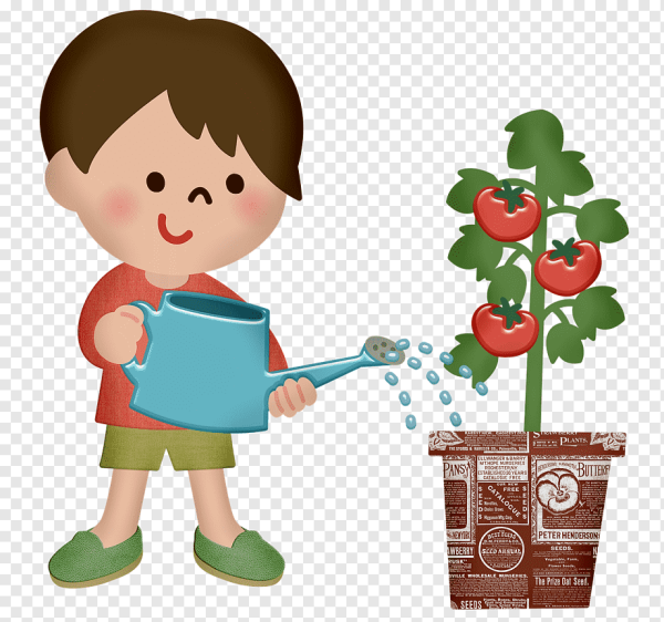 Мальчик поливает дерево