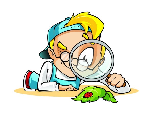 Юный исследователь