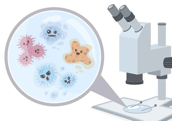 Микроорганизмы в микроскопе