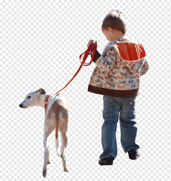 Человек с собакой