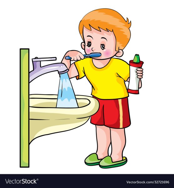 Умывается на белом фоне